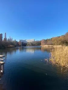 井の頭弁財天 1枚目