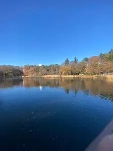 井の頭弁財天 3枚目