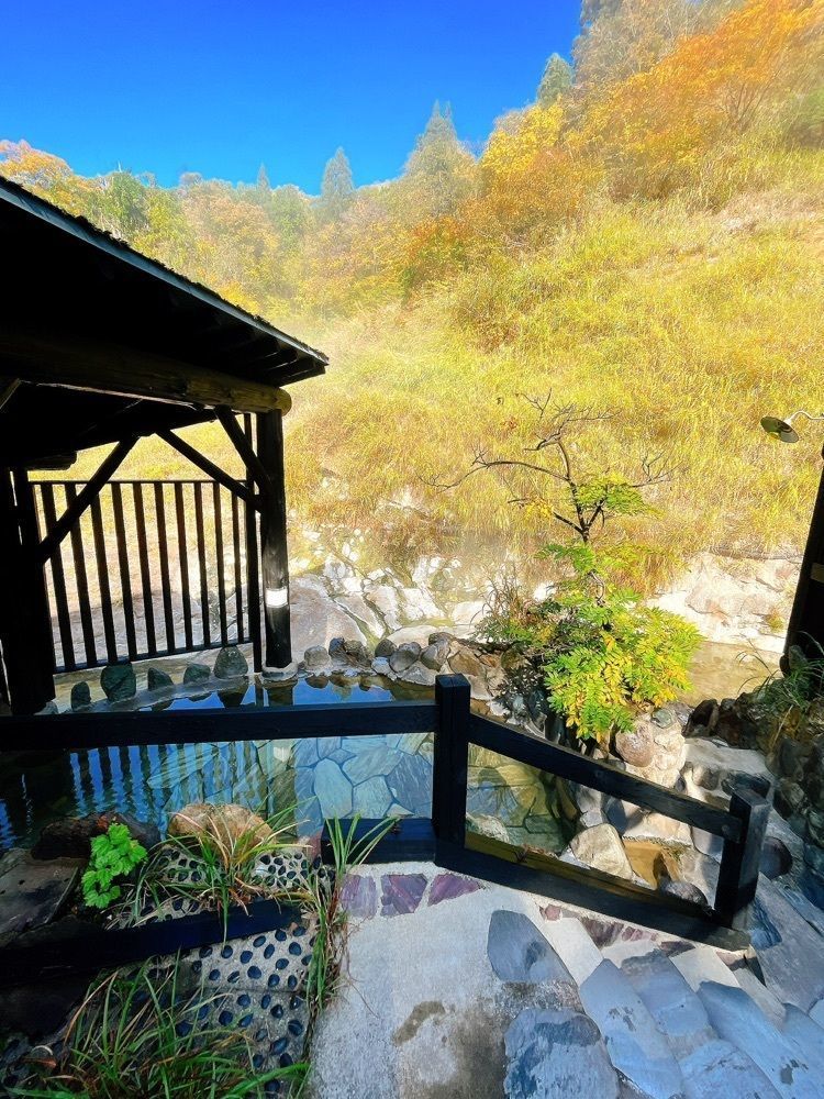 猫なぎ。さんが投稿した阿部旅館に関する口コミの画像