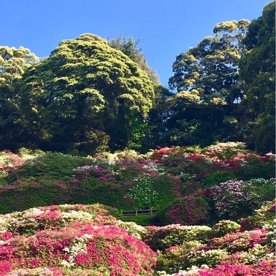 yoshiさんが投稿した三隅公園に関する口コミの画像