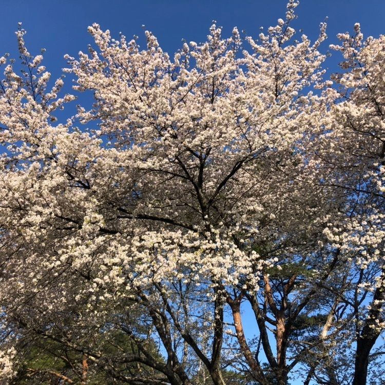 タッキーさんが投稿した鯨と海の科学館に関する口コミの画像