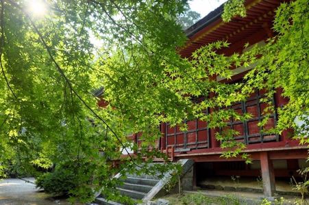 談山神社の紅葉