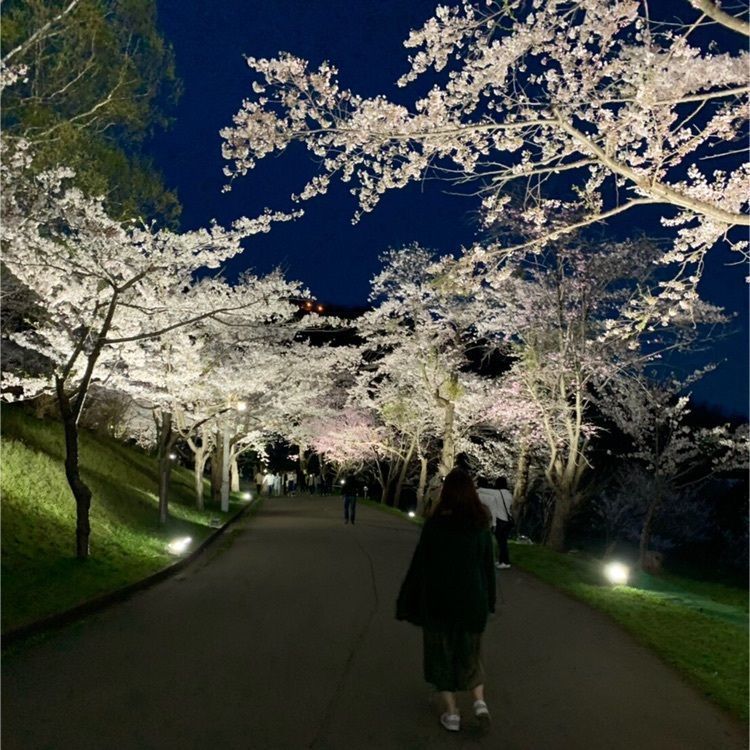 rural_market_0cbaさんが投稿した東明公園の桜・ツツジに関する口コミの画像