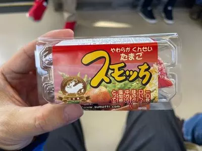 S-PAL山形