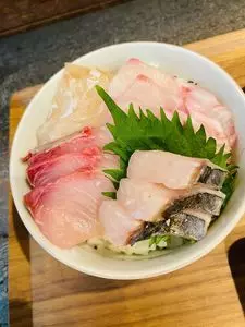 サカナノミライ