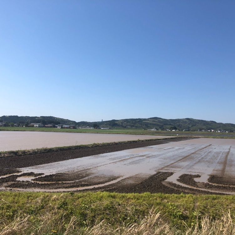タッキーさんが投稿した月輪館跡に関する口コミの画像