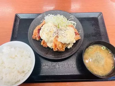からやま ふじみ野店