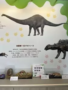 問いカフェ（【旧店名】DNPプラザ カフェ）