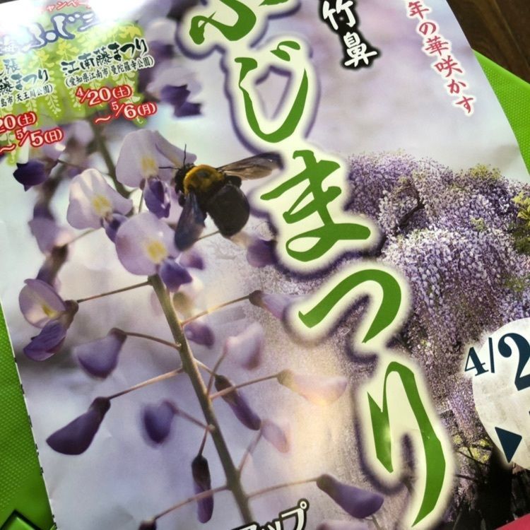 ☆rana//mant>さんが投稿した竹鼻別院のフジに関する口コミの画像