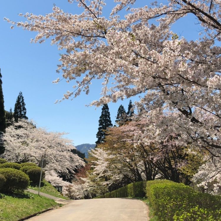 うっさでーすさんが投稿した田沢湖グリーンガーデンに関する口コミの画像