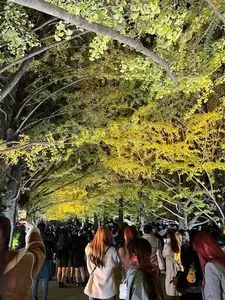 国営昭和記念公園日本庭園