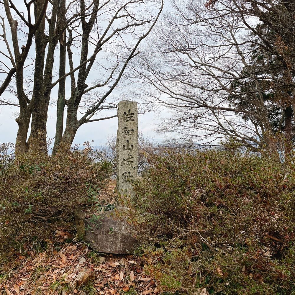 Danjouさんが投稿した佐和山城跡に関する口コミの画像
