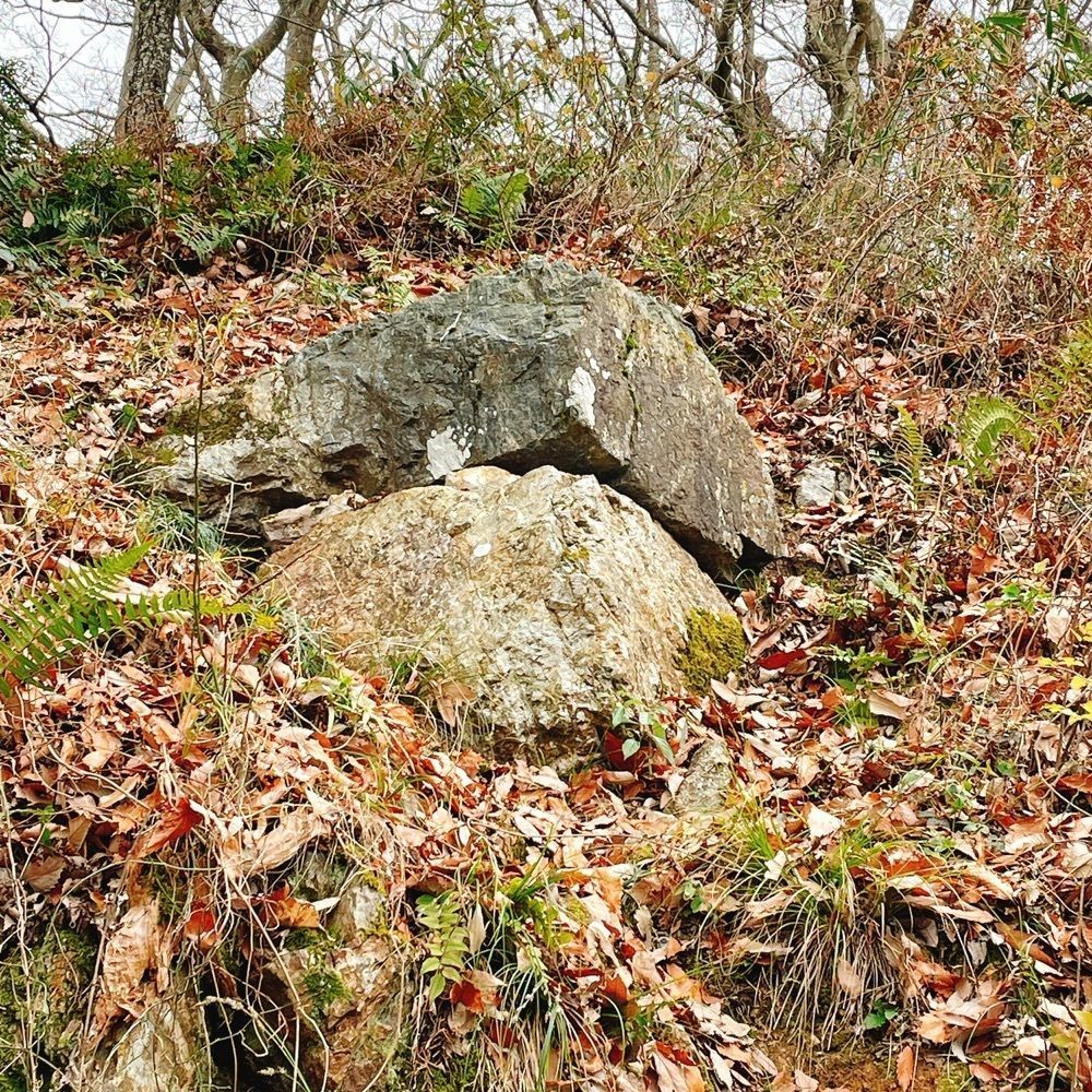 Danjouさんが投稿した佐和山城跡に関する口コミの画像