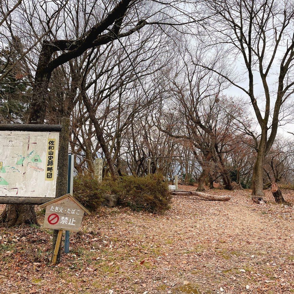 Danjouさんが投稿した佐和山城跡に関する口コミの画像