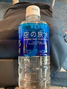 ANA スイートラウンジ 羽田空港 国内線（ANA SUITE LOUNGE）