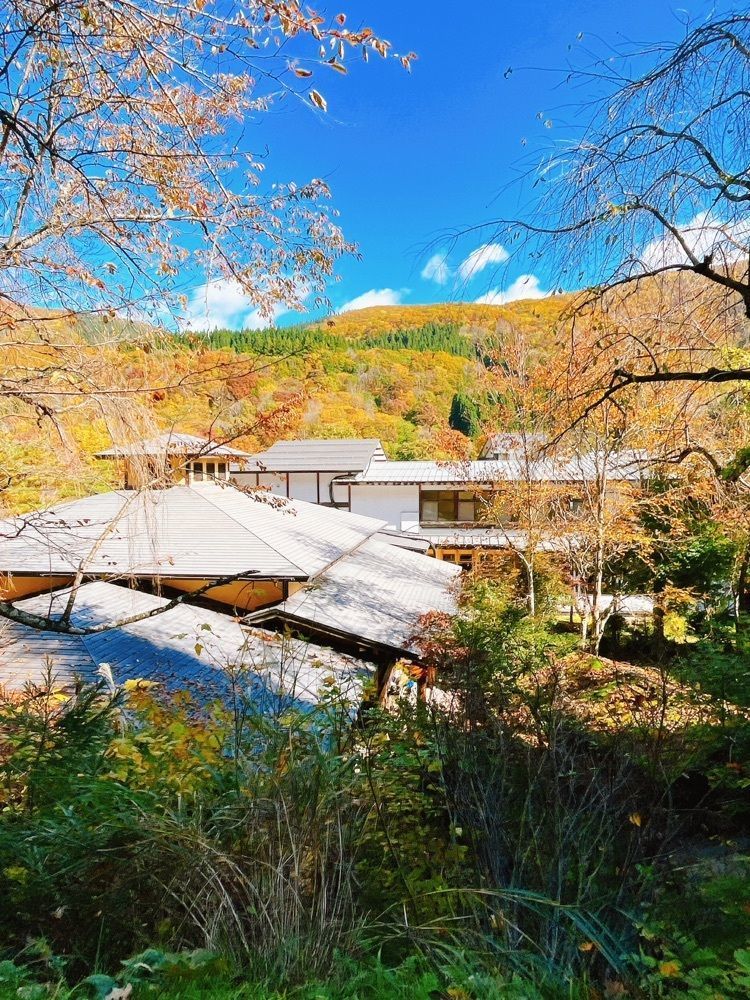 猫なぎ。さんが投稿した小安峡温泉多郎兵衛旅館に関する口コミの画像