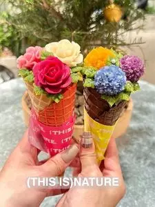 (THISIS)NATURE（ディスイズネイチャー）