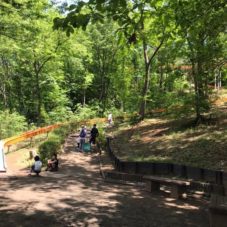 futuristic_shopping_8a71さんが投稿した殿入中央公園に関する口コミの画像