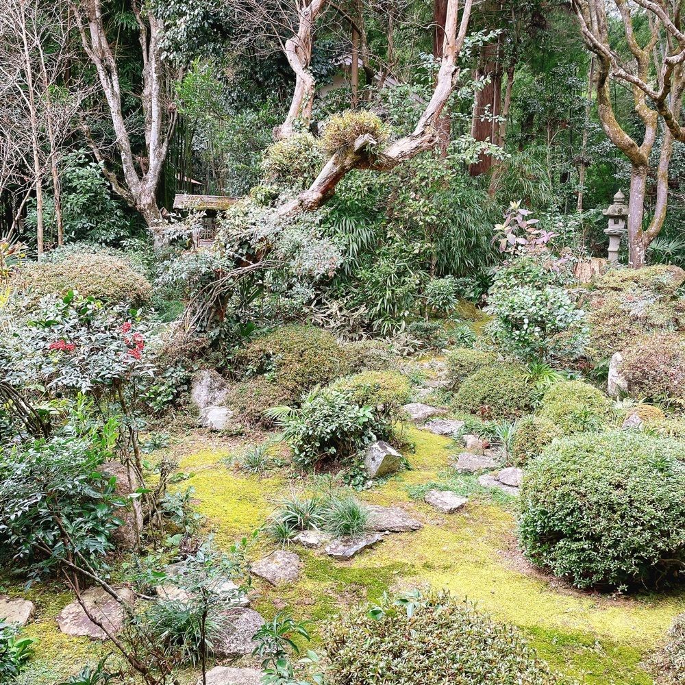 Danjouさんが投稿した龍潭寺に関する口コミの画像