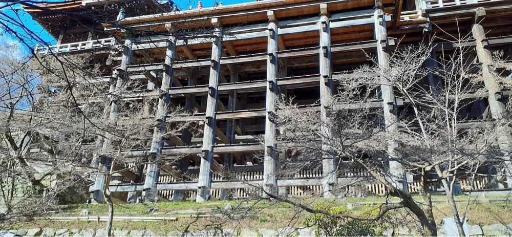 A bientot Japonさんが投稿した清水寺三重塔に関する口コミの画像
