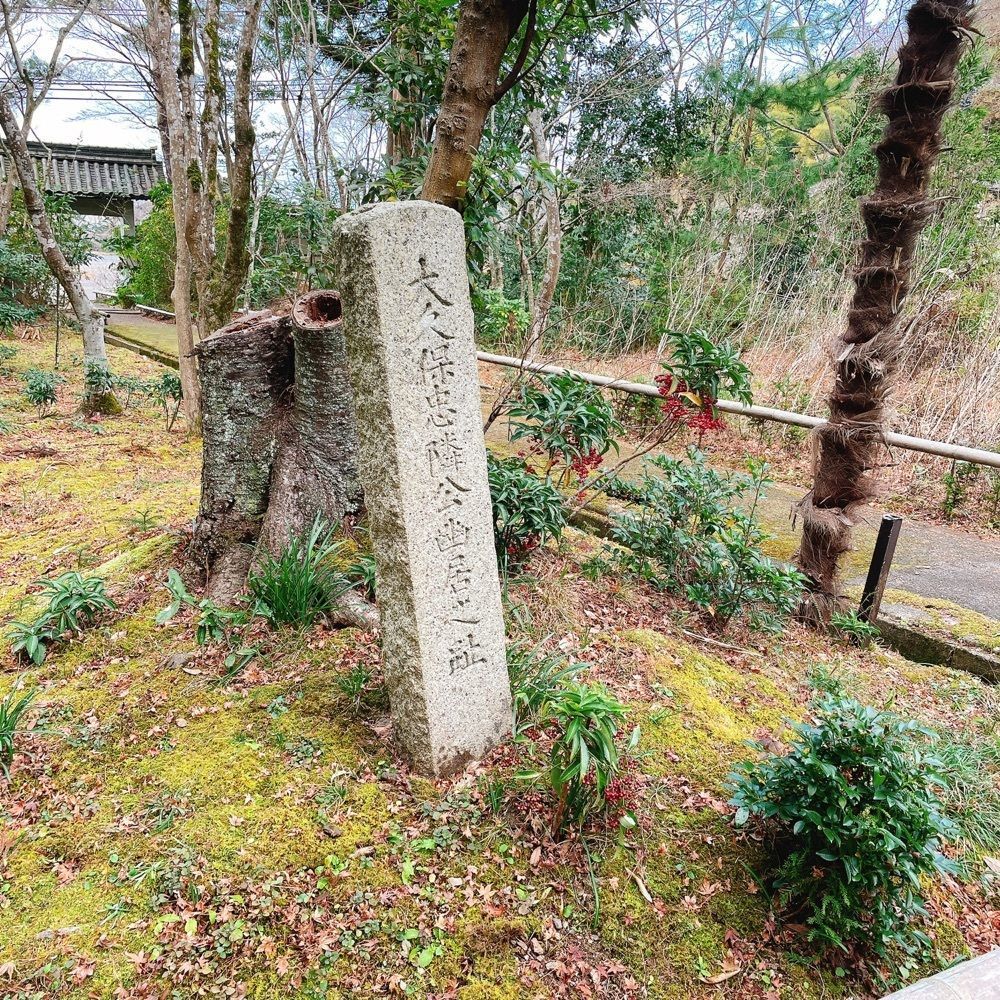 Danjouさんが投稿した清凉寺に関する口コミの画像