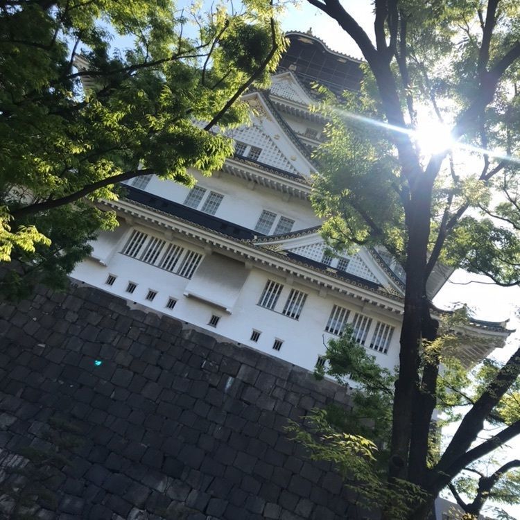 yumiさんが投稿した大阪城（だいはんじょう）に関する口コミの画像