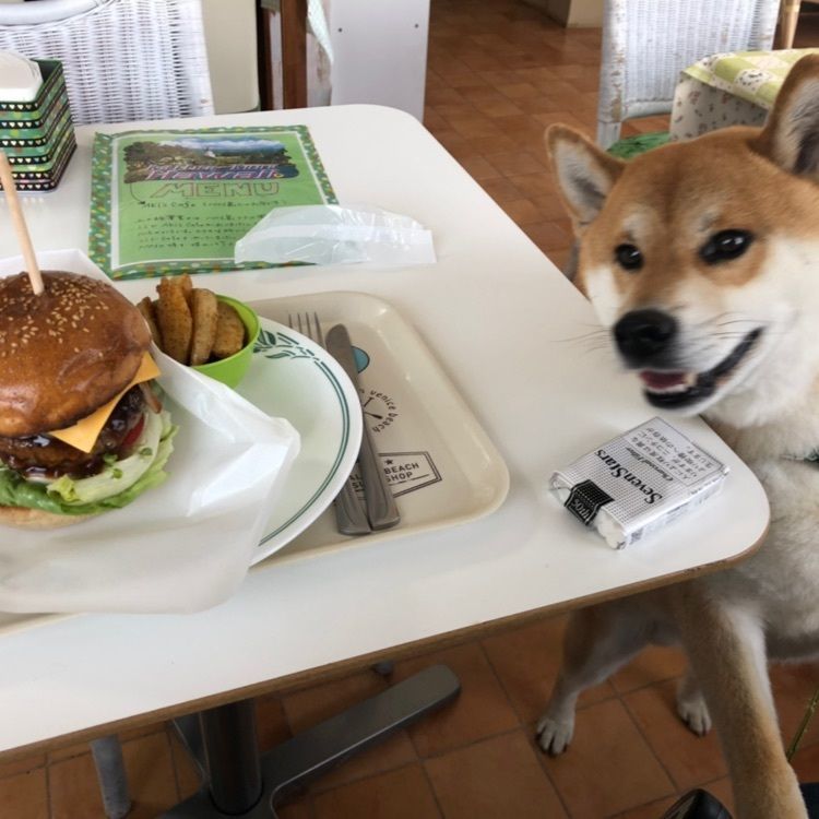 Masaruさんが投稿した画像の画像