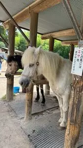 渋川動物公園