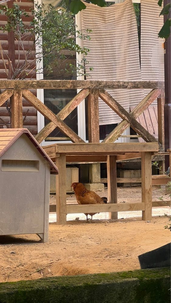 YYY🌈TOKYOさんが投稿した渋川動物公園に関する口コミの画像