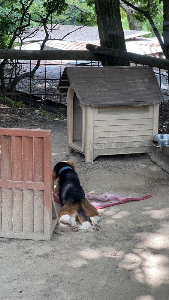 YYY🌈TOKYOさんが投稿した渋川動物公園に関する口コミの画像