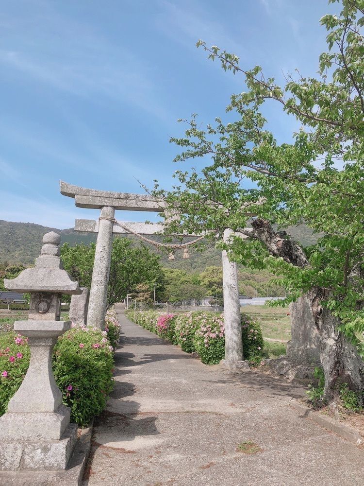 mimiさんが投稿した春日神社に関する口コミの画像