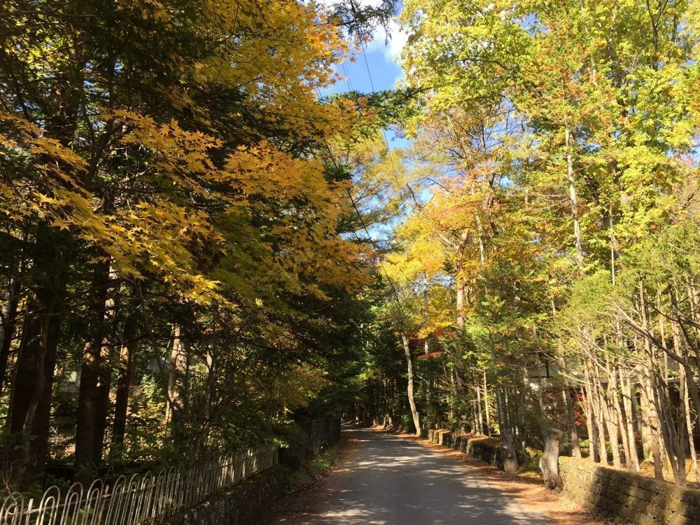 nostalgic_hiking_bca8さんが投稿した中華そば 美乃屋（ミノヤ）に関する口コミの画像