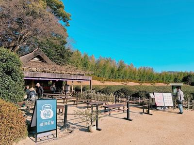 岡山後楽園 福田茶屋 7枚目