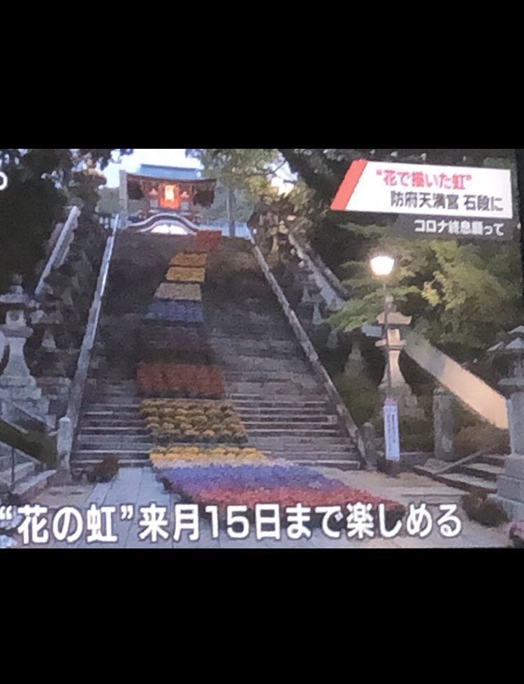 mimiさんが投稿した防府天満宮歴史館に関する口コミの画像