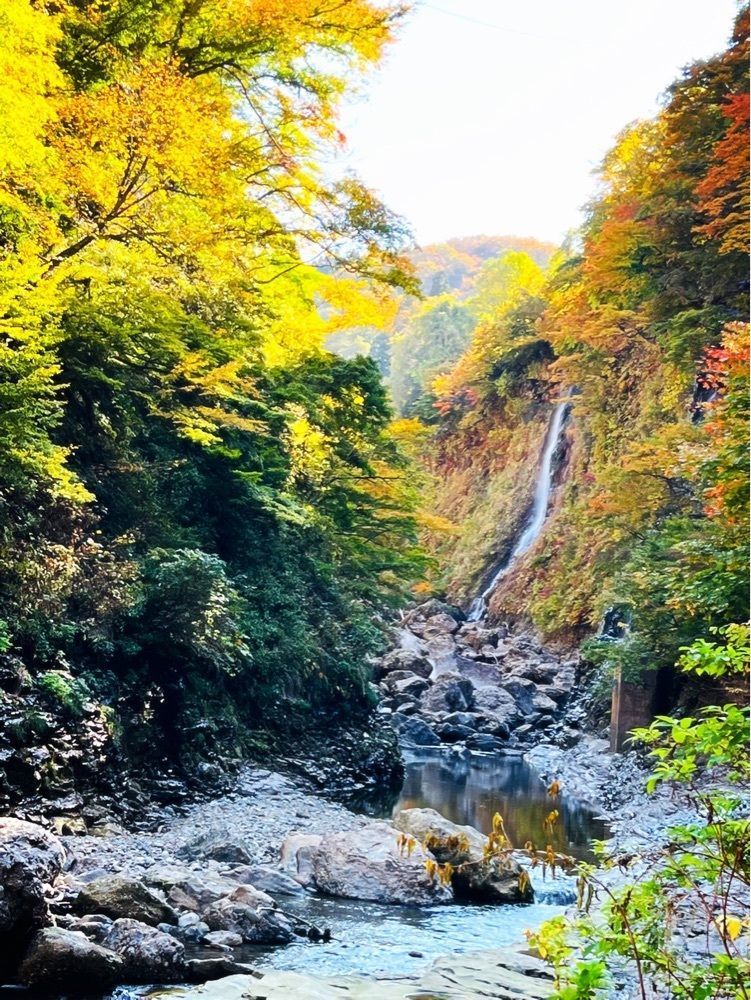 猫なぎ。さんが投稿した小安峡大噴湯に関する口コミの画像