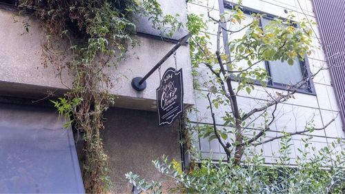 カフェ オトノヴァ(CafeOtonova) 7枚目