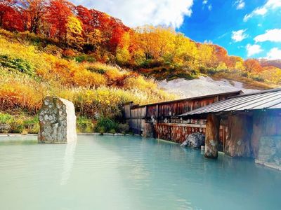 泥湯温泉　奥山旅館 3枚目