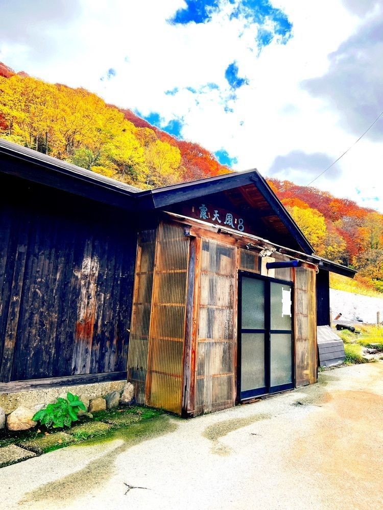 猫なぎ。さんが投稿した泥湯温泉　奥山旅館に関する口コミの画像