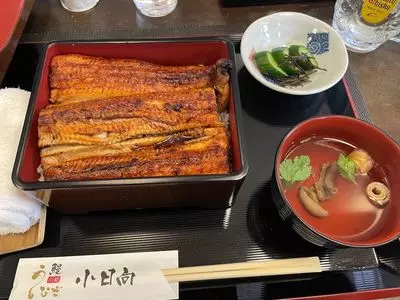 鰻 小日向