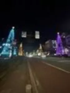 大学通り