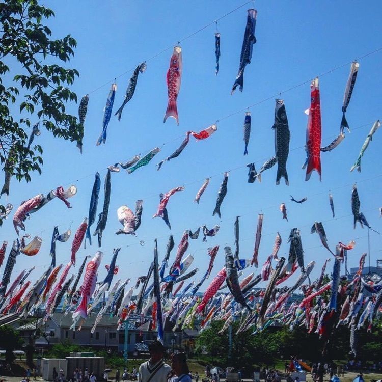 もりりんさんが投稿した芥川桜堤公園に関する口コミの画像