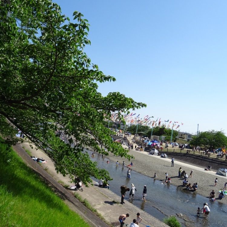 もりりんさんが投稿した芥川桜堤公園に関する口コミの画像