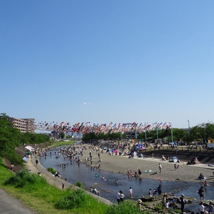 もりりんさんが投稿した芥川桜堤公園に関する口コミの画像