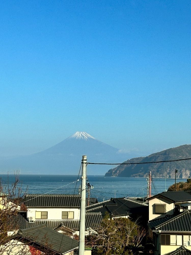 かめ_メグミさんが投稿した漁師の宿　太郎に関する口コミの画像