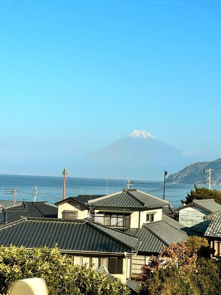 かめ_メグミさんが投稿した漁師の宿　太郎に関する口コミの画像