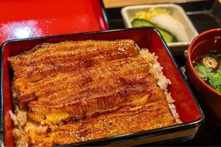 うなぎ 目白ぞろ芽