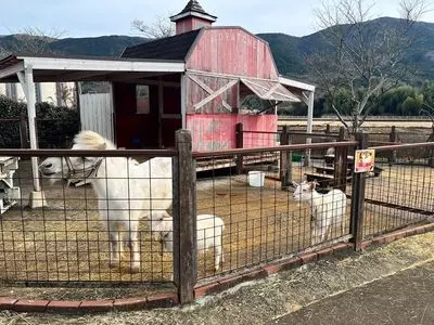 酪農王国 オラッチェ