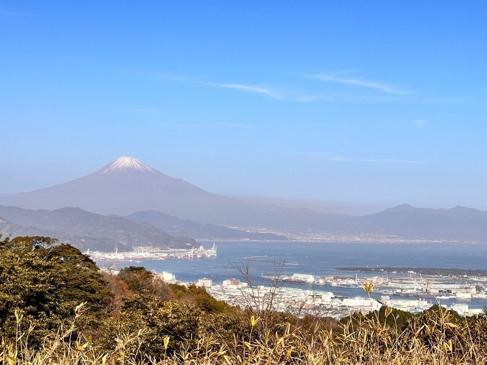 かめ_メグミさんが投稿した月日星（つきひぼし）に関する口コミの画像
