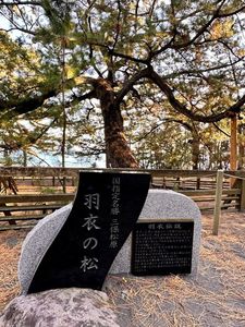 三保松原 8枚目