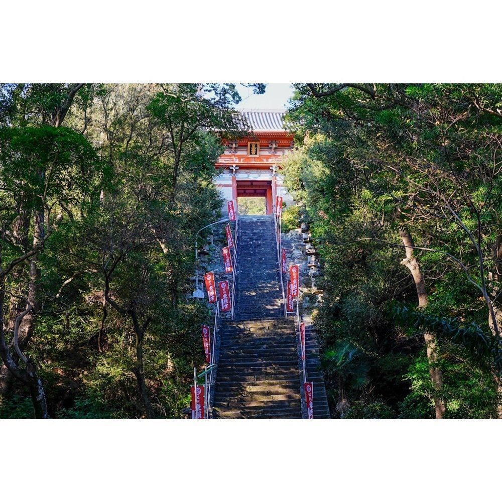 urban_garden_243aさんが投稿した紀州東照宮に関する口コミの画像